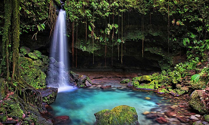 Emerald Pool in Dominica