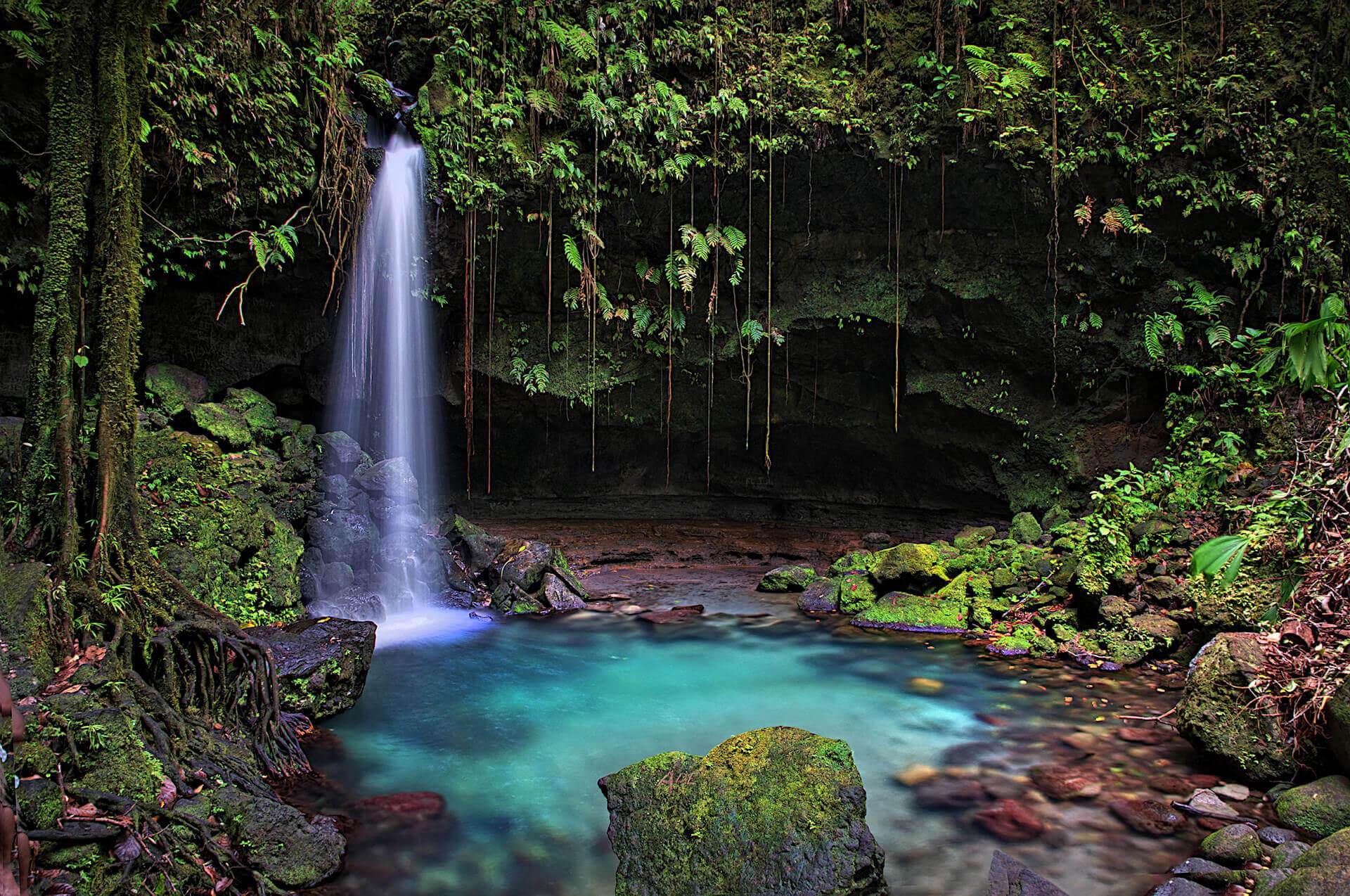 Emerald Pool in Dominica