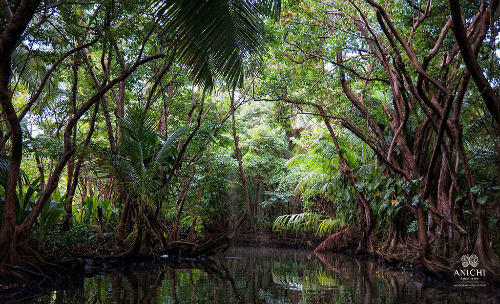 Фотогалерея Доминики: река Индиан