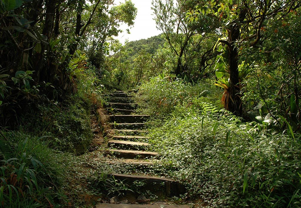 25 of Most Beautiful Places Around the World by CNN Travel: Dominica Path to the Boiling Lake