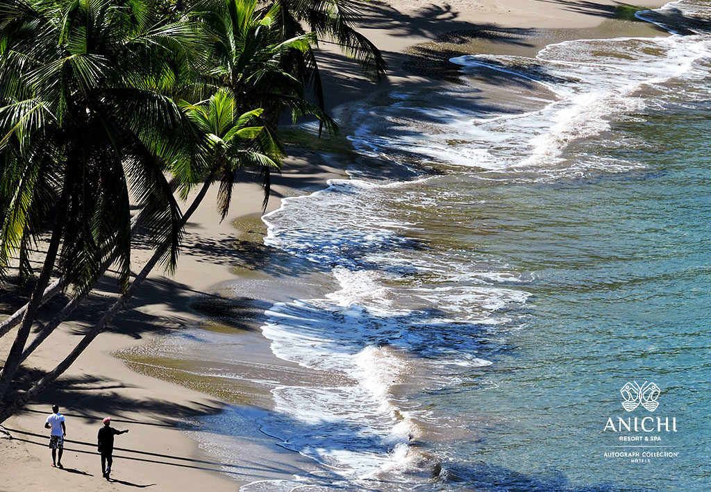 Одно из лучших мест для путешествий в 2020 году: Batibou Beach, Dominica