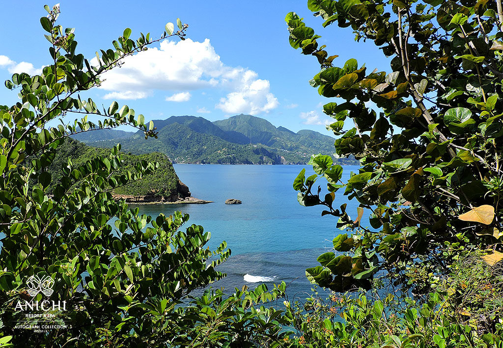 Одно из лучших мест для путешествий в 2020 году: North  View of the Dominica