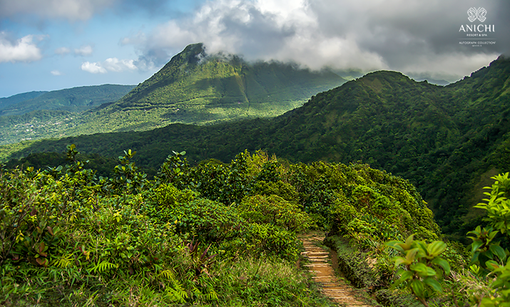 The World’s Best Place to Visit in 2021: Add Dominica to Your Bucket List!