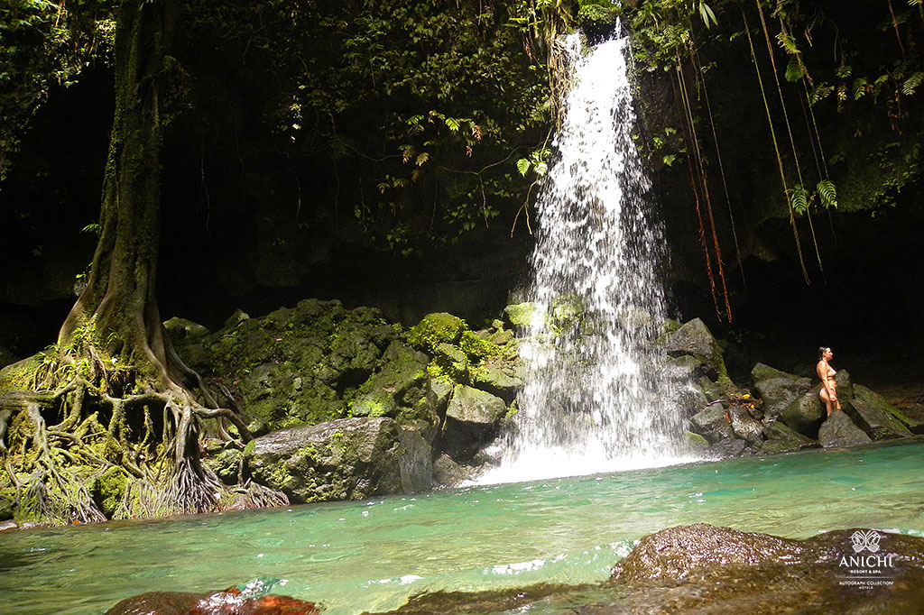 Emerald Pool in Dominica