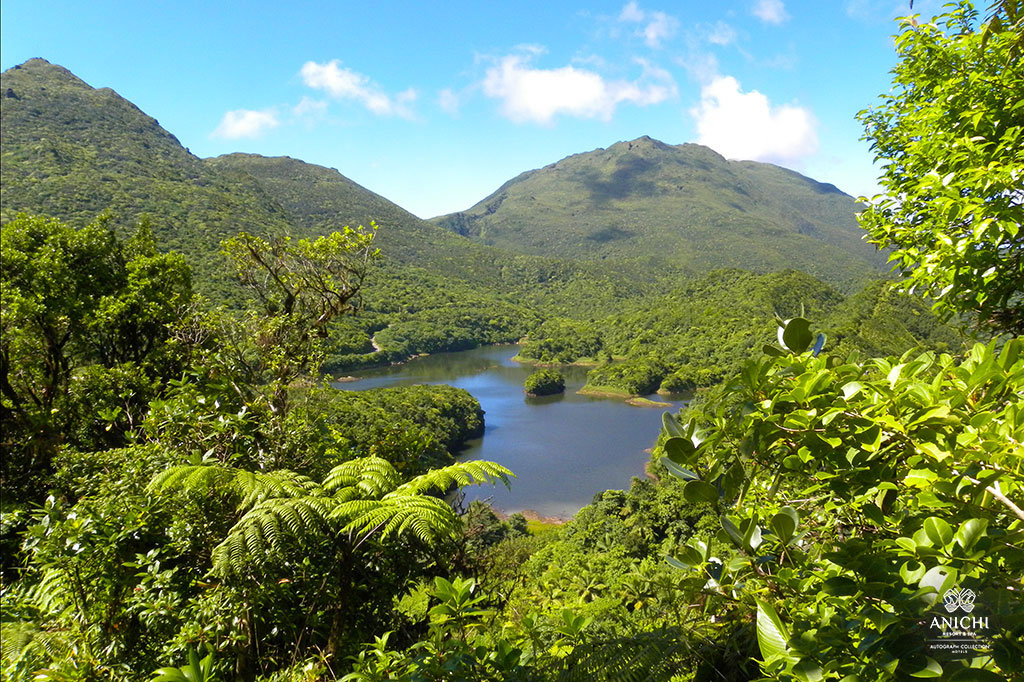 Freshwater Lake, Dominica