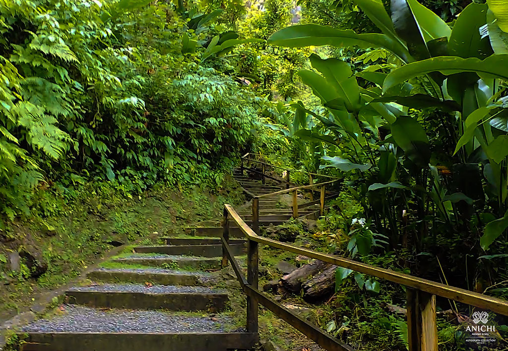 Dominica Hot Springs: Hiking Trail