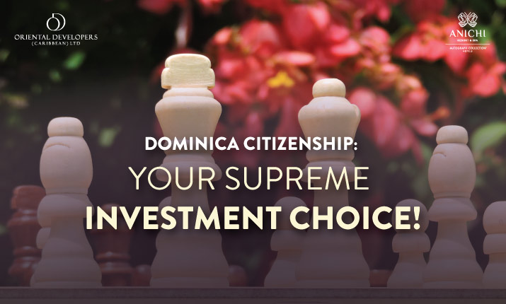 Why Dominica Citizenship is Your Best Investment?