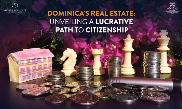 Dominica's Real Estate Investment: A Lucrative Option for Investors