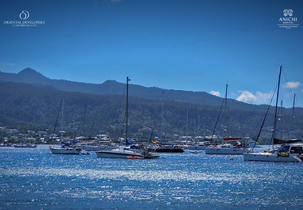 Yachts anchored in the turquoise waters off Dominica’s coast — a meeting point of unspoilt nature, sustainable tourism, and ocean exploration.