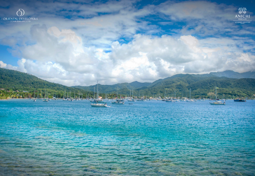 A scenic view of Prince Rupert Bay in Dominica, with several yachts anchored in the calm turquoise waters.