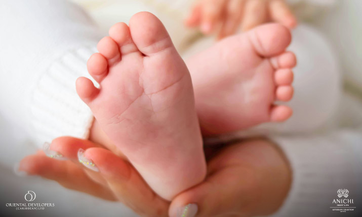 Family Protection Strategy: How Dominica Citizenship Safeguards Future Generations