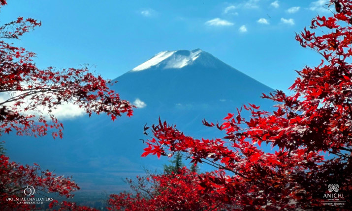 Серебро с золотым оттенком: Теа Лафонд-Гадсон и международный образ Доминики